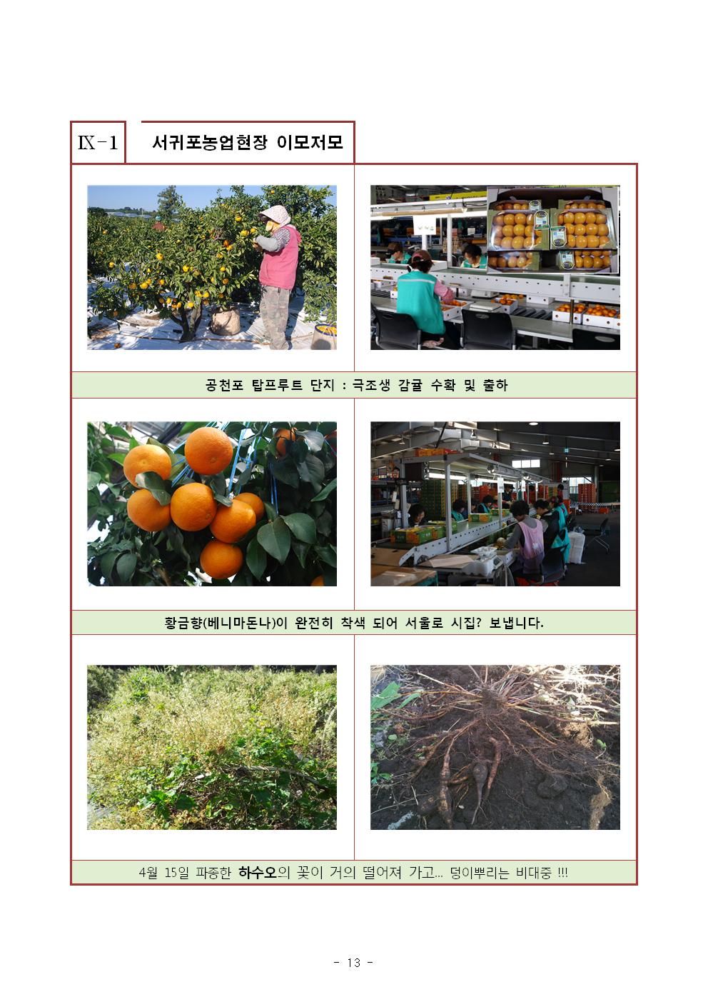 서귀포농업 인터넷정보지 11월호